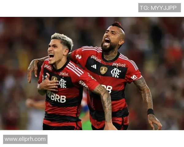 巴甲联赛最新伤病名单分析及对各球队影响评估 巴甲联赛最新伤病名单分析及对各球队影响评估