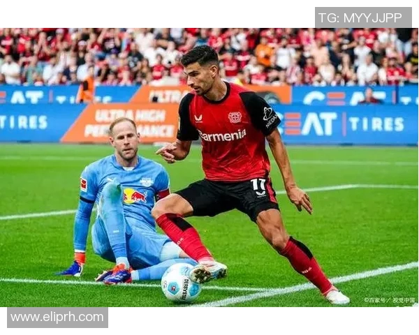 勒沃库森不敌霍芬海姆，遭遇主场失利